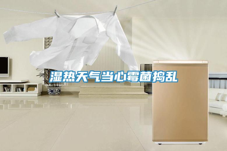 湿热天气当心霉菌捣乱