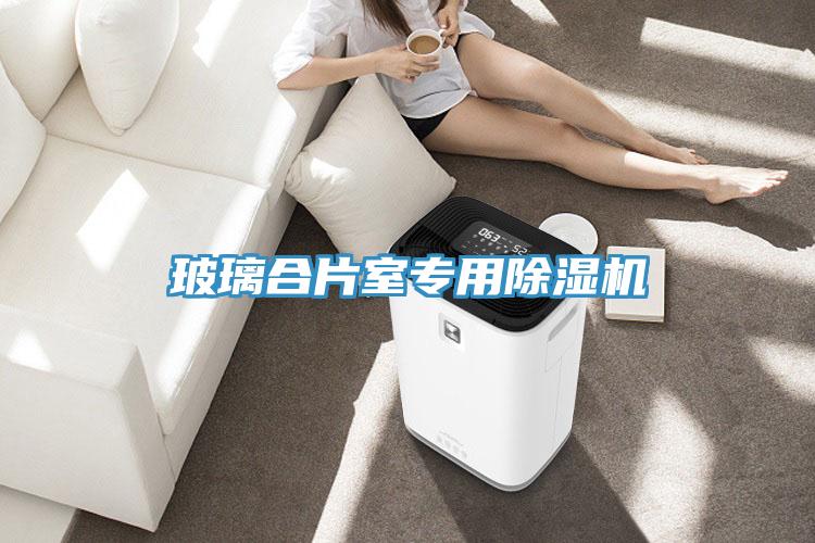 玻璃合片室专用除湿机