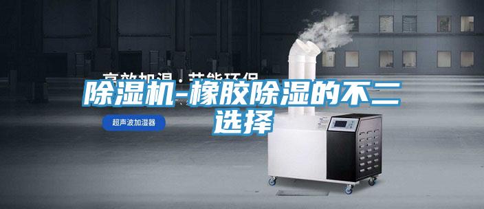除湿机-橡胶除湿的不二选择
