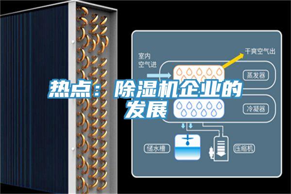 热点：除湿机企业的发展