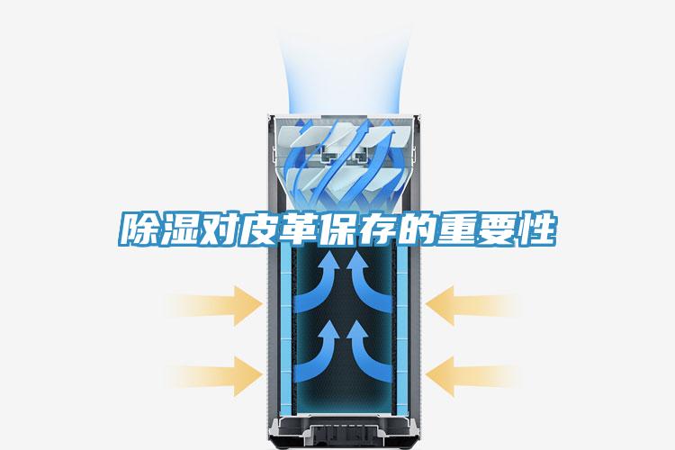 除湿对皮革保存的重要性