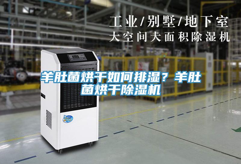 羊肚菌烘干如何排湿？羊肚菌烘干除湿机