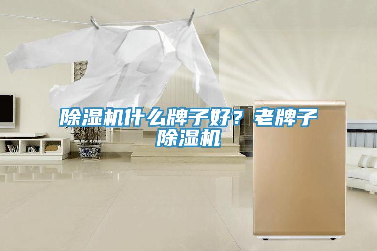 除湿机什么牌子好？老牌子除湿机
