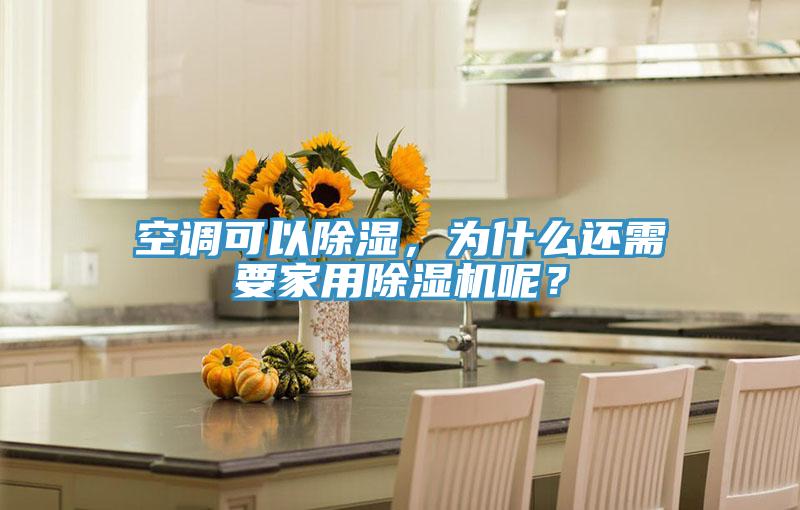 空调可以除湿,为什么还需要家用除湿机呢?