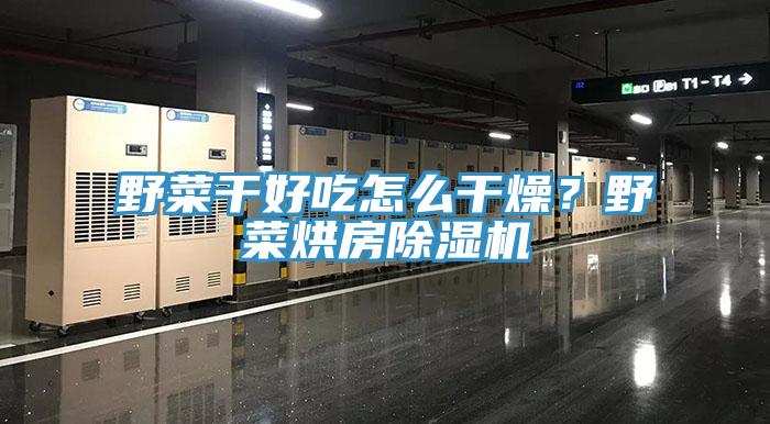 野菜干好吃怎么干燥?野菜烘房除湿机