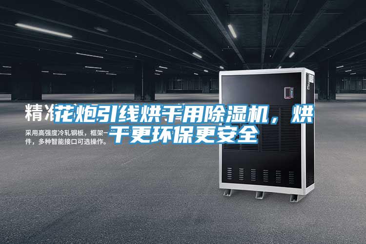 花炮引线烘干用除湿机，烘干更环保更安全