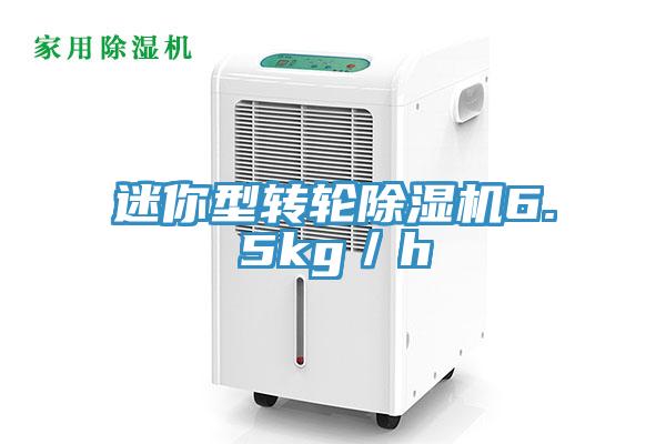 迷你型转轮除湿机6.5kg／h