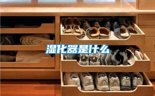 湿化器是什么