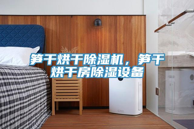 笋干烘干除湿机，笋干烘干房除湿设备