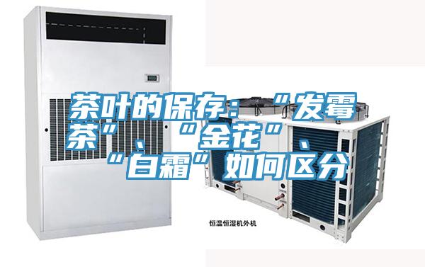 茶叶的保存：“发霉茶”、“金花”、“白霜”如何区分
