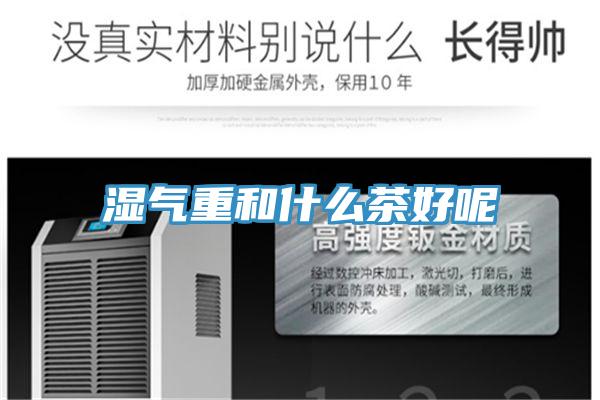 湿气重和什么茶好呢