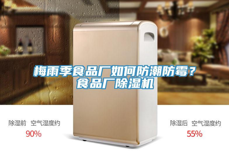 梅雨季食品厂如何防潮防霉？食品厂除湿机