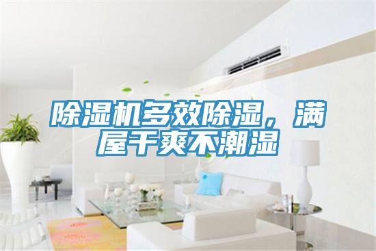 除湿机多效除湿,满屋干爽不潮湿