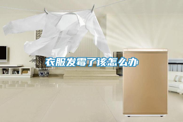 衣服发霉了该怎么办