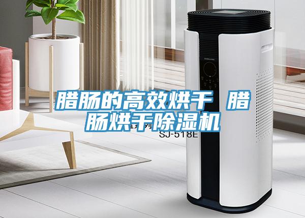 腊肠的高效烘干 腊肠烘干除湿机