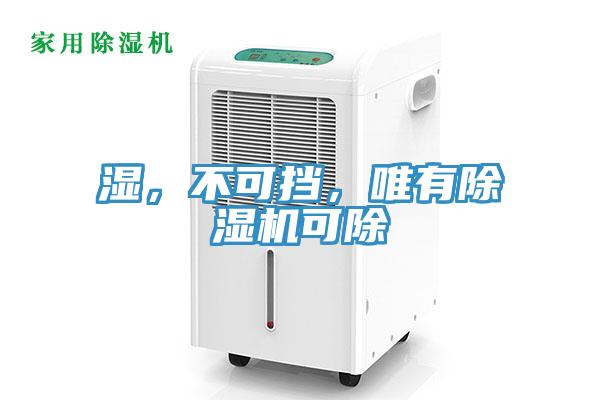 湿,不可挡,唯有除湿机可除