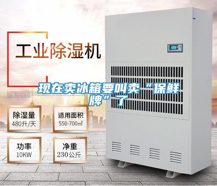 现在卖冰箱要叫卖“保鲜牌”了