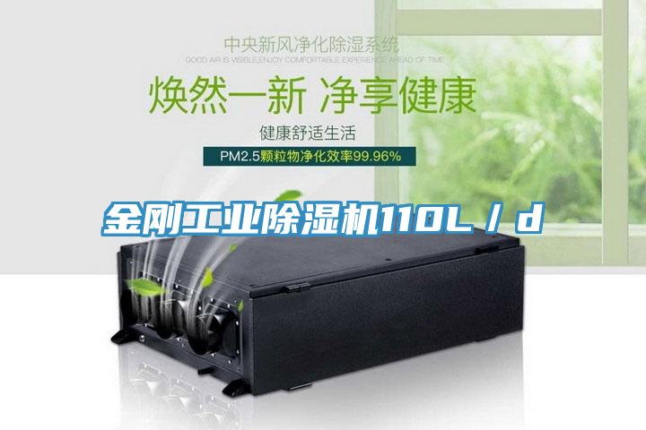 金刚工业除湿机110L／d