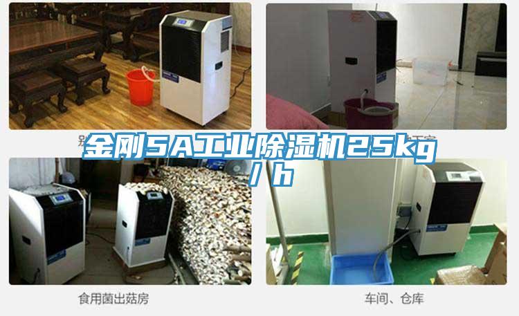 金刚5A工业除湿机25kg／h