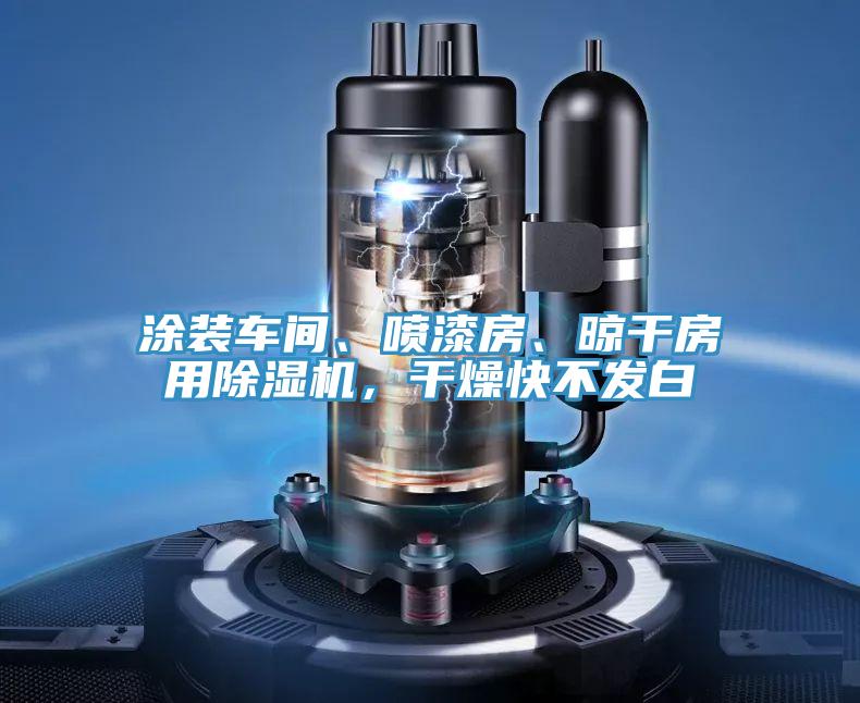 涂装车间、喷漆房、晾干房用除湿机，干燥快不发白