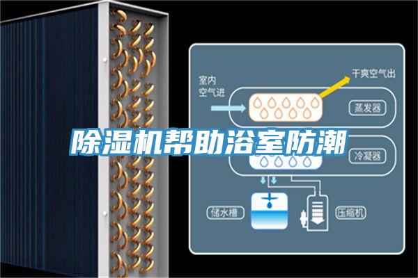 除湿机帮助浴室防潮