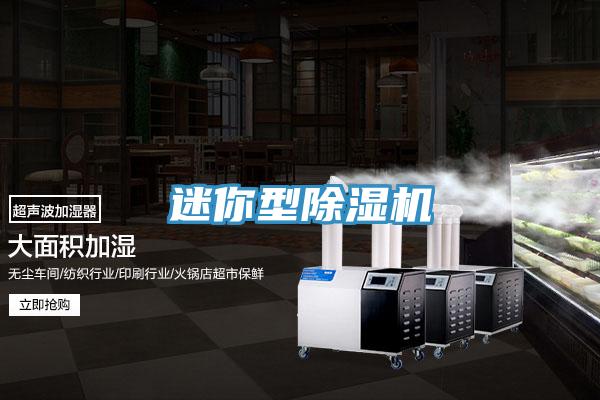 迷你型除湿机