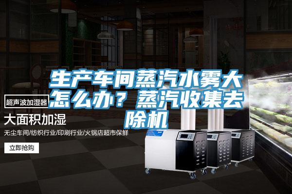 生产车间蒸汽水雾大怎么办？蒸汽收集去除机