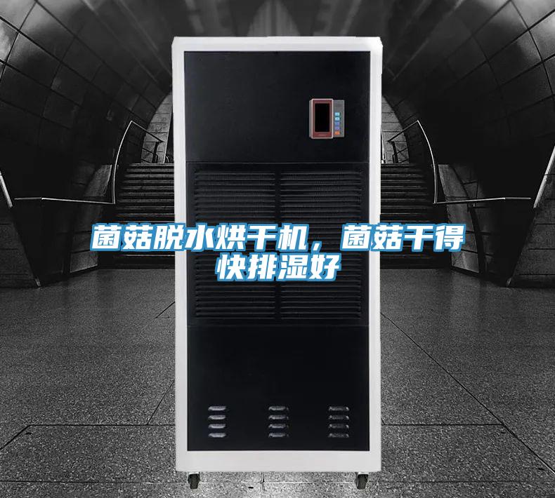 菌菇脱水烘干机,菌菇干得快排湿好