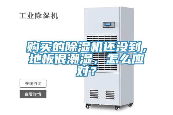 购买的除湿机还没到，地板很潮湿，怎么应对？