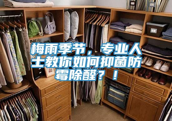 梅雨季节，专业人士教你如何抑菌防霉除醛？！