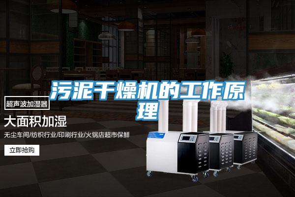 污泥干燥机的工作原理