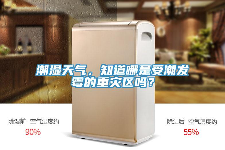 潮湿天气，知道哪是受潮发霉的重灾区吗？