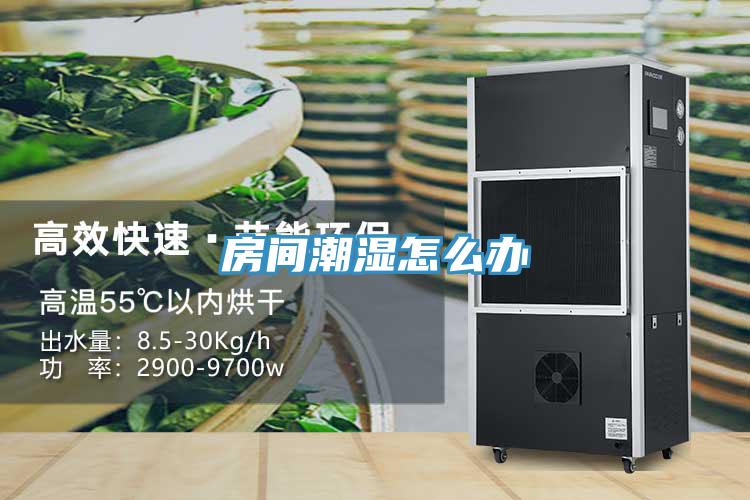 房间潮湿怎么办