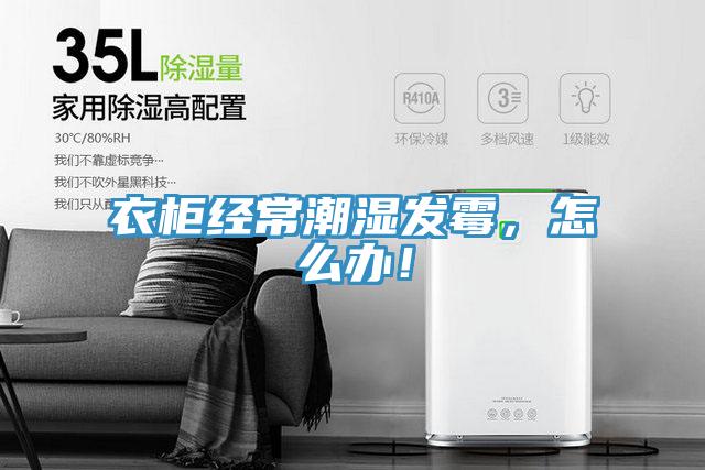 衣柜经常潮湿发霉，怎么办！