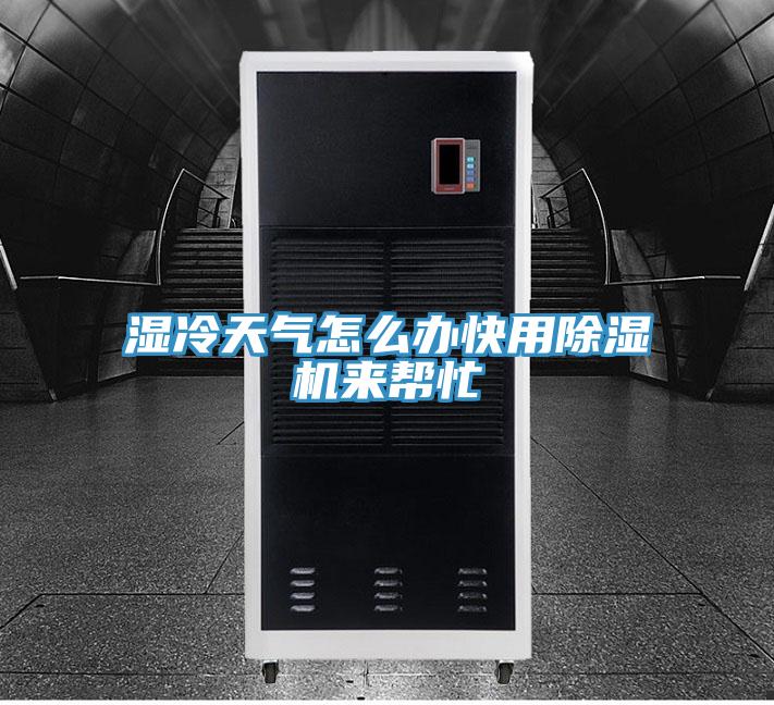 湿冷天气怎么办快用除湿机来帮忙
