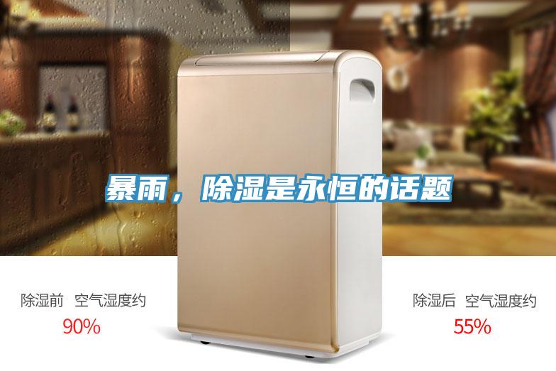 暴雨，除湿是永恒的话题