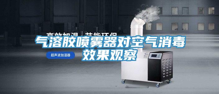 气溶胶喷雾器对空气消毒效果观察