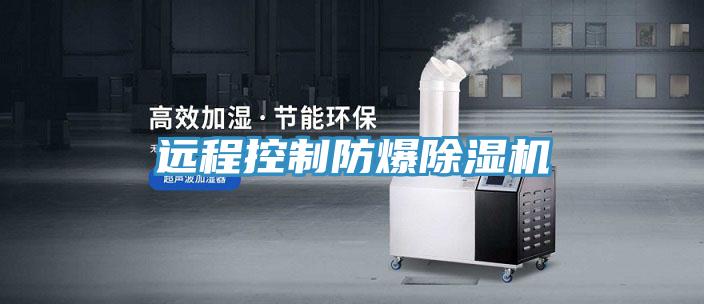 远程控制防爆除湿机