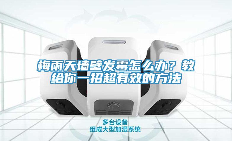 梅雨天墙壁发霉怎么办?教给你一招超有效的方法