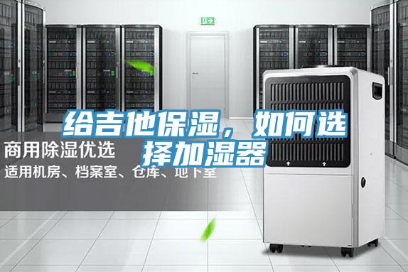 给吉他保湿，如何选择加湿器