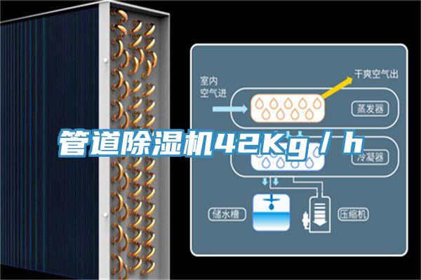 管道除湿机42Kg／h