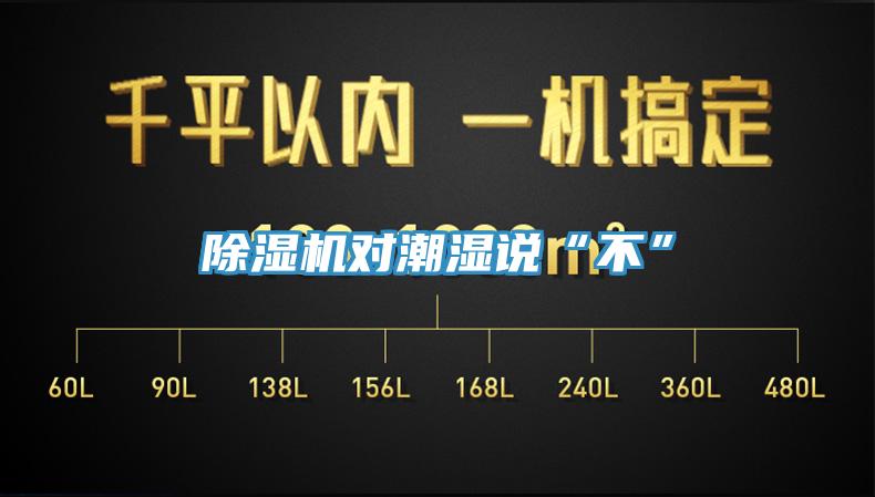 除湿机对潮湿说“不”