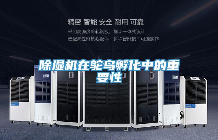 除湿机在鸵鸟孵化中的重要性