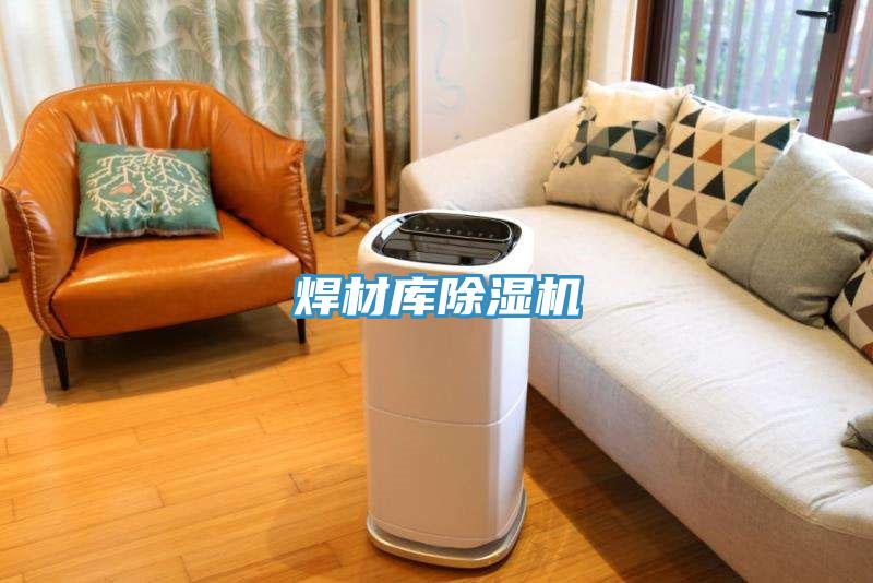 焊材库除湿机