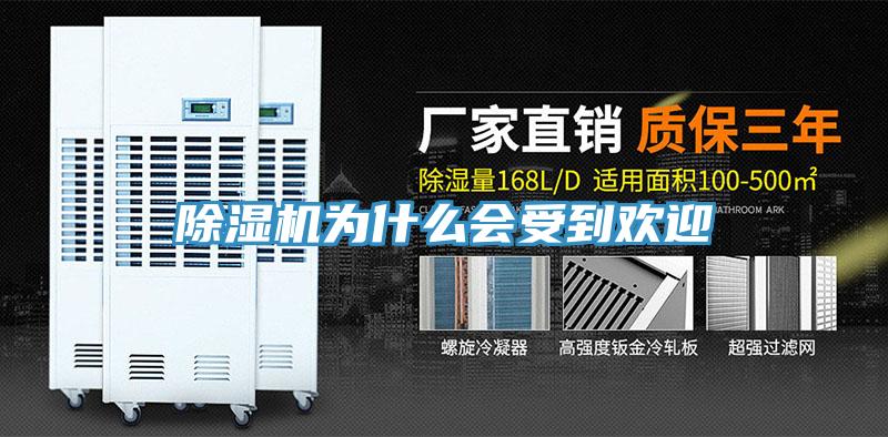 除湿机为什么会受到欢迎