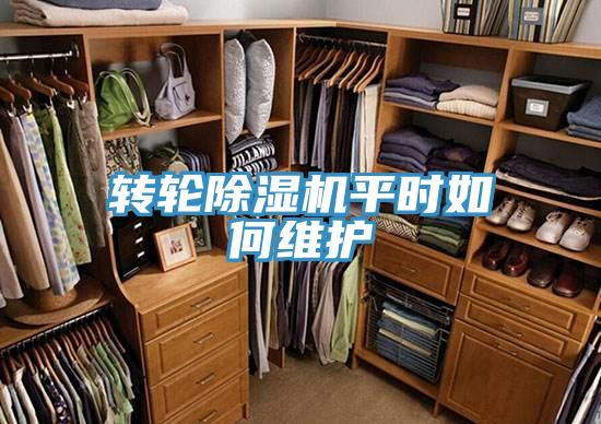 转轮除湿机平时如何维护