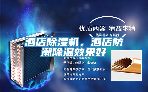 酒店除湿机，酒店防潮除湿效果好