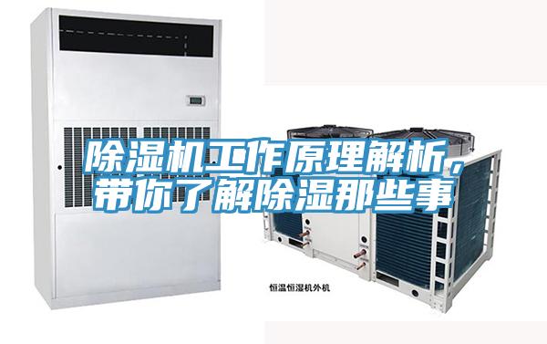 除湿机工作原理解析，带你了解除湿那些事