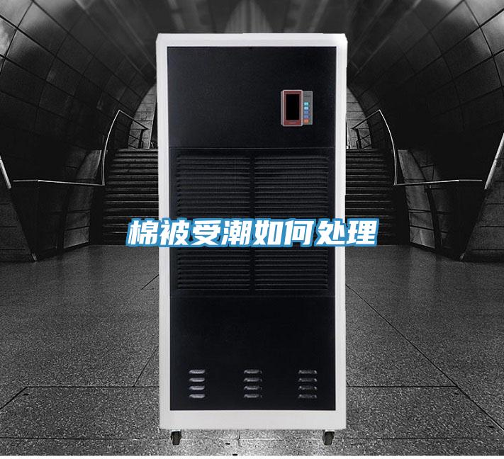 棉被受潮如何处理