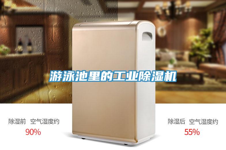 游泳池里的工业除湿机